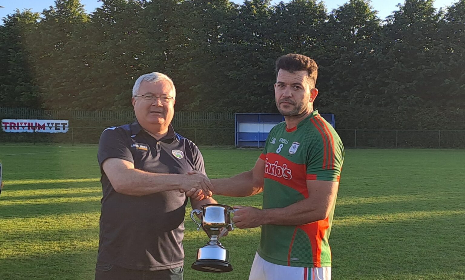 Acfl Division Hand Guides Graiguecullen To Glory After Holding Off