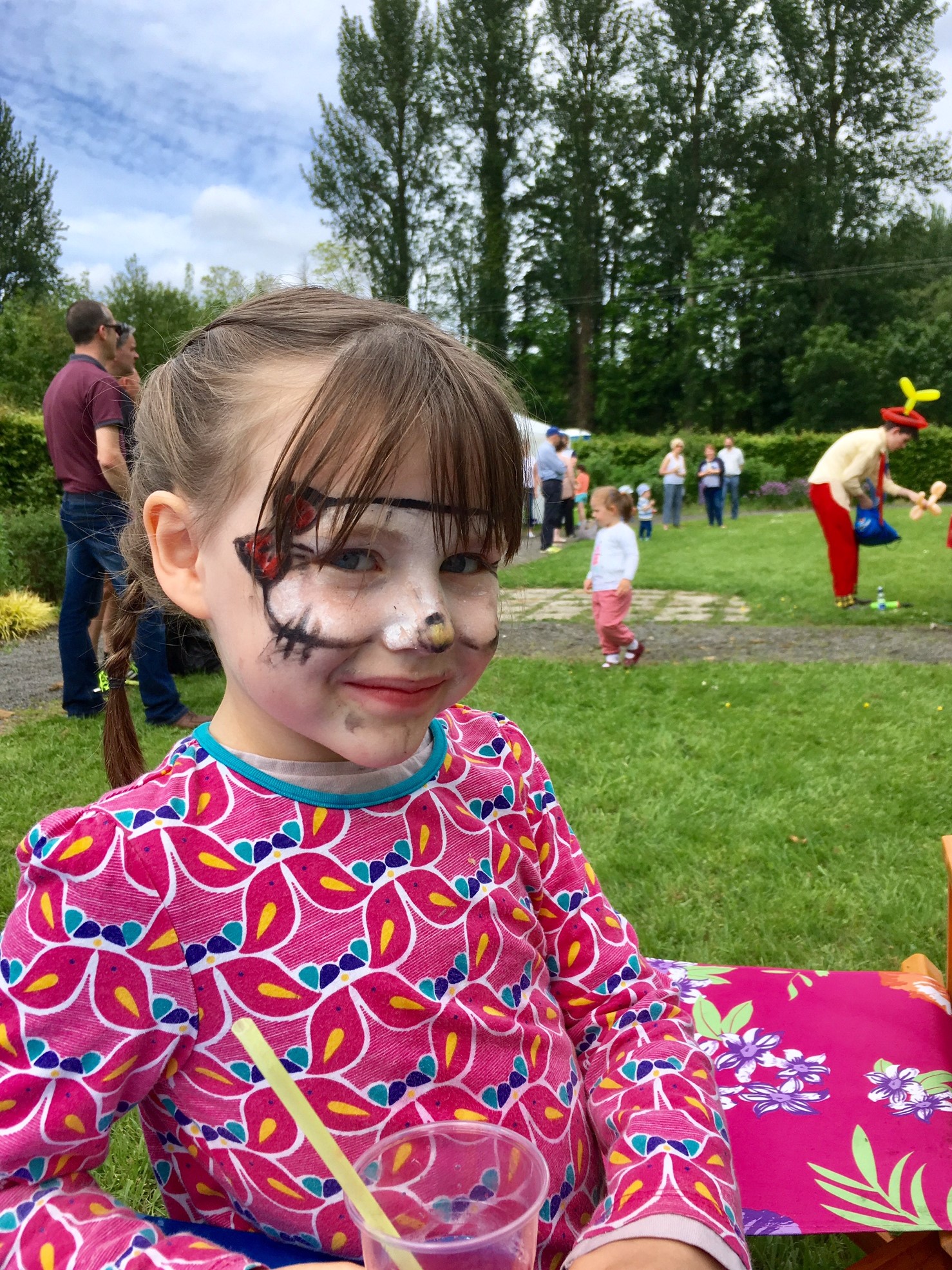 In Pictures: Ballyroan family fun day proves a big success - Laois Today