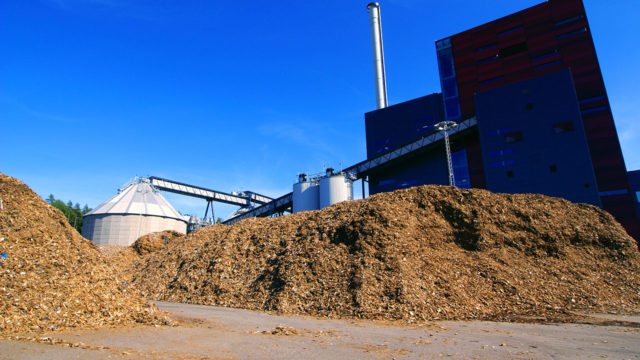 Biomass power plant