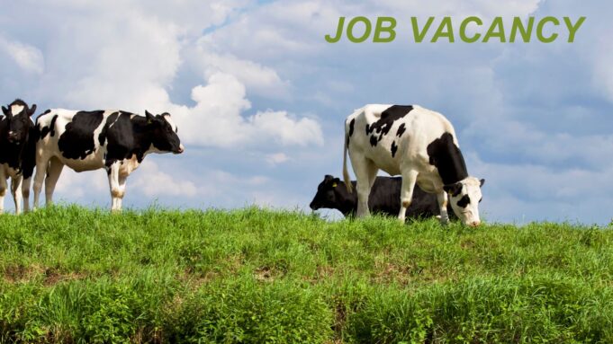 on-the-job-dairy-farmer-youtube