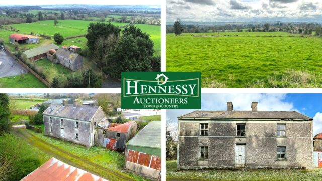 58 acre farm for sale at Northgrove Mountrath Co Laois with Hennessy Auctioneers