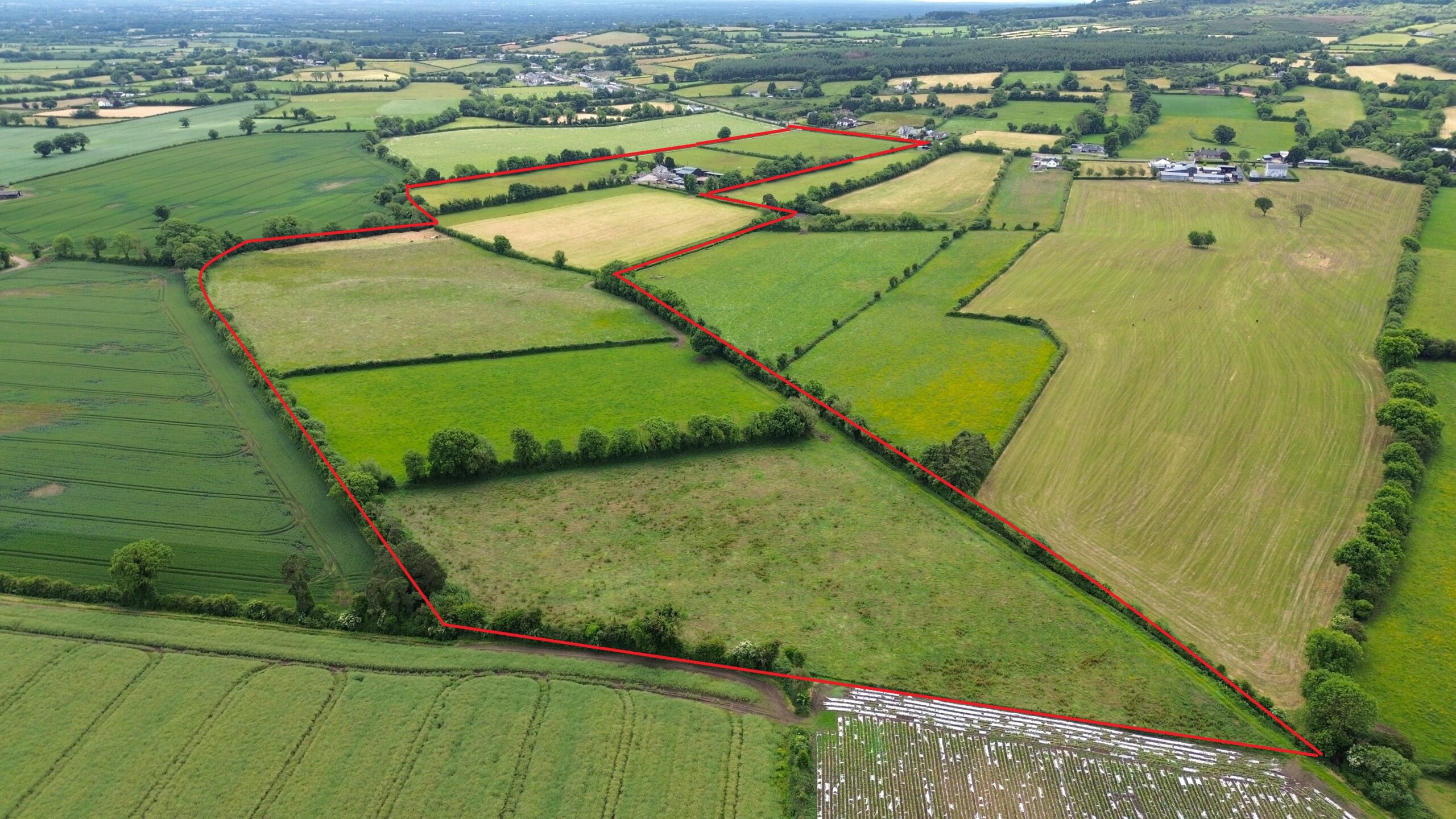 50 acres residential farm for sale at Rosenallis Co Laois with Hennessy Auctioneers