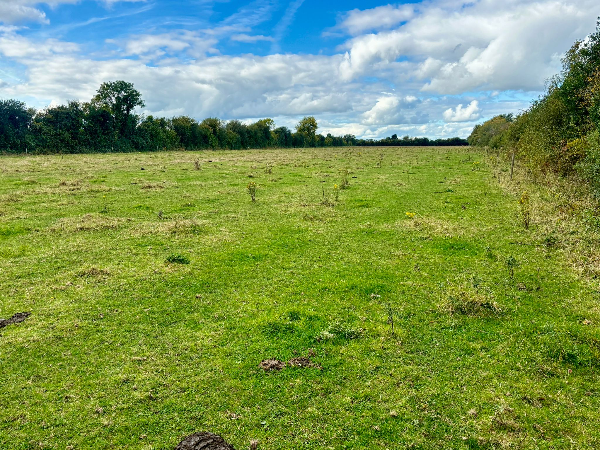 Lands for sale at Vicarstown, Co Laois with Hennessy Auctioneers.