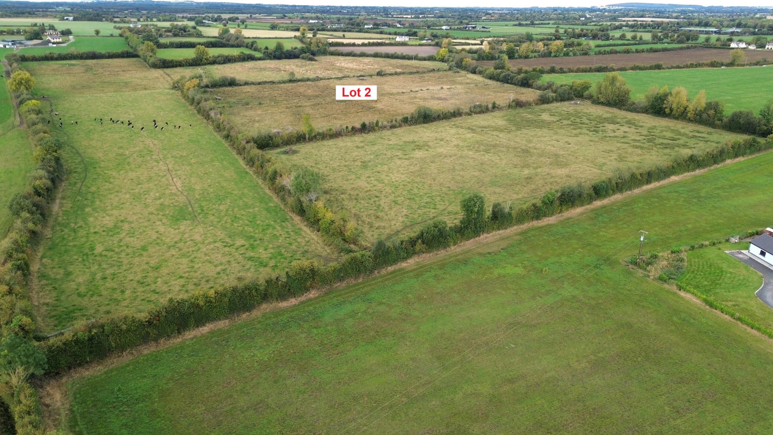 Lot 2 for sale with Hennessy Auctioneers at Vicarstown Co Laois 