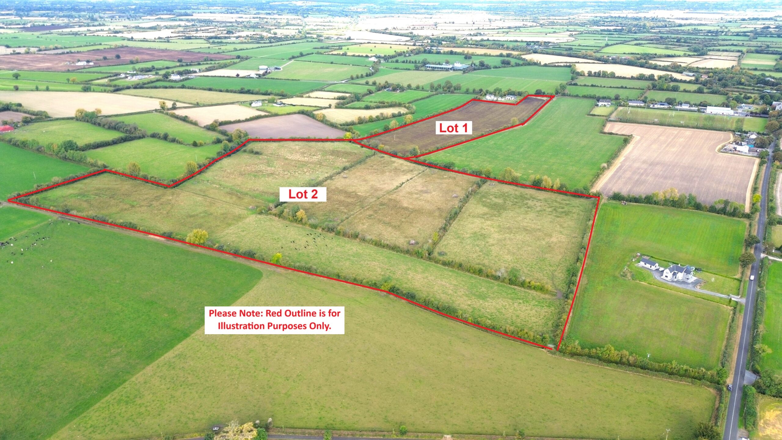 55 acres for sale in vicarstown Co Laois with Hennessy Auctioneers